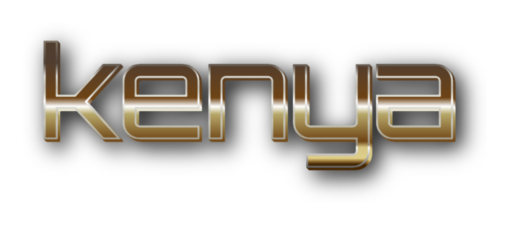 3D Kenya metal text image