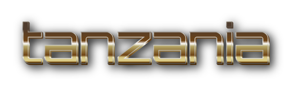 3D Tanzania metal text image